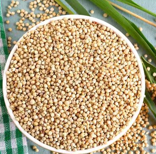 jowar