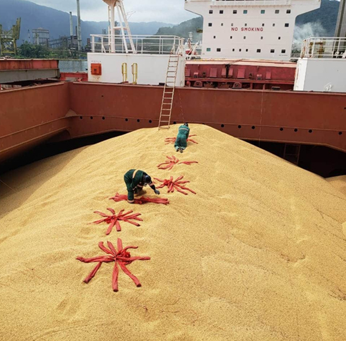 Vessel Fumigation